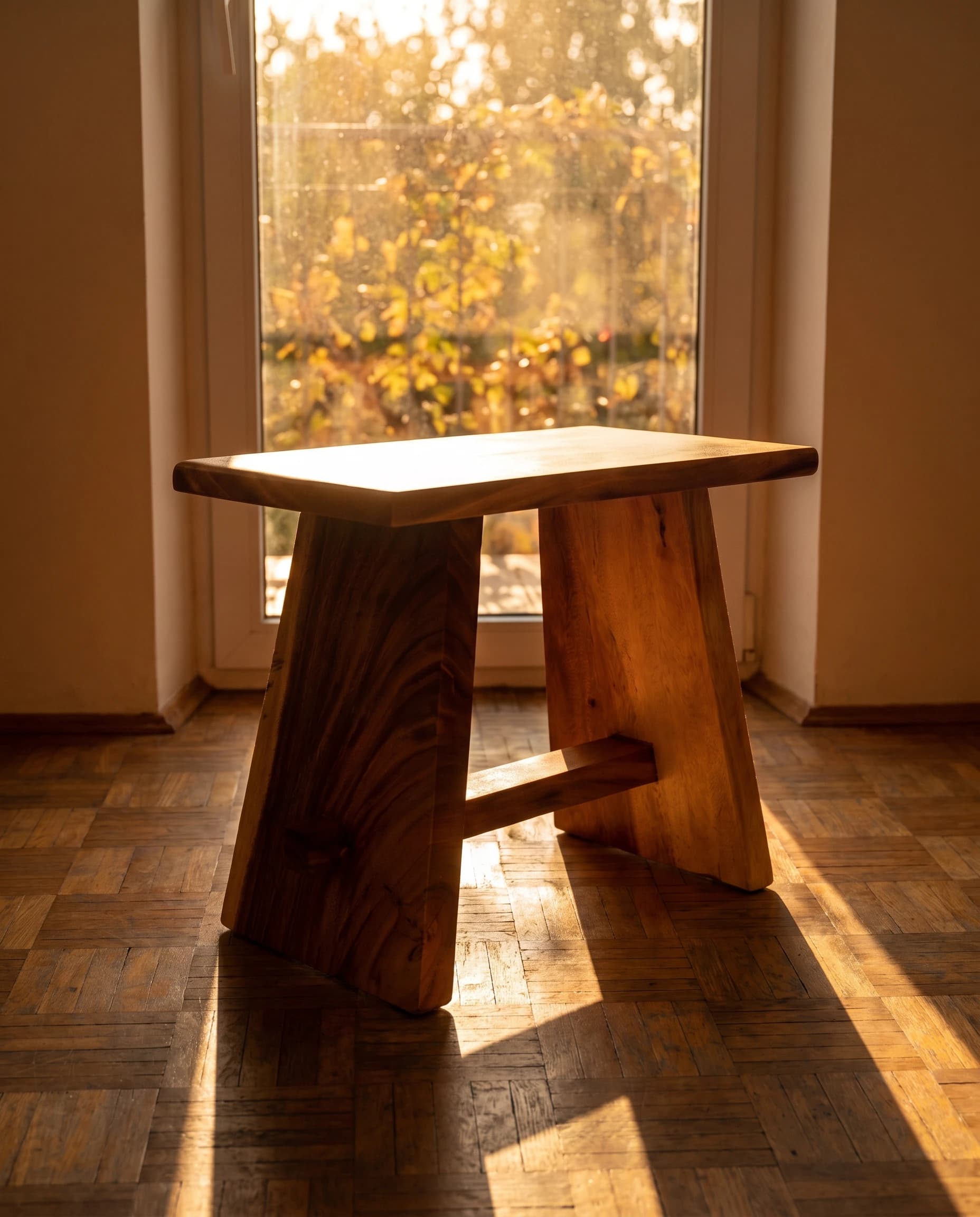 ASA en contre-jour devant une fenêtre, feuillage d'automne au dehors