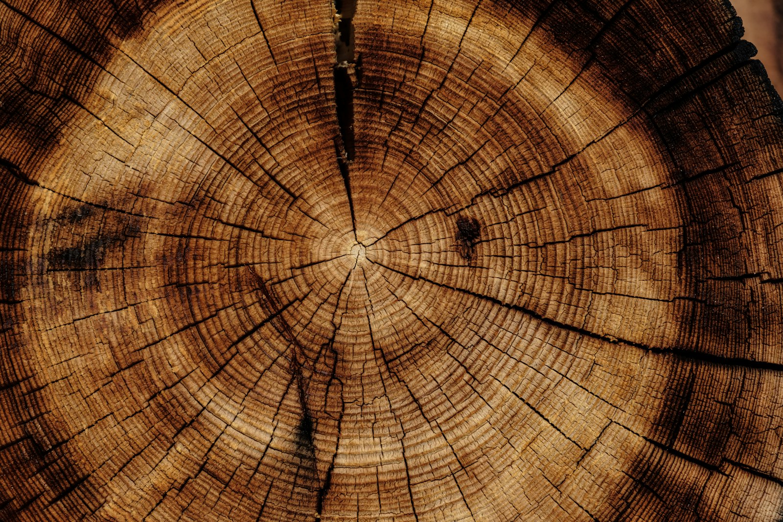Why every solid wood piece is one of a kind